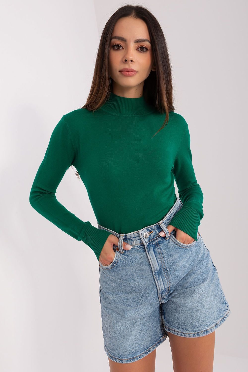 Turtleneck model 185534
